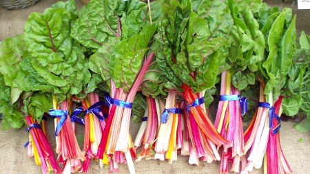 Rainbow Chard from Local Roots. Photo copyright 2009 by Zachary D. Lyons.