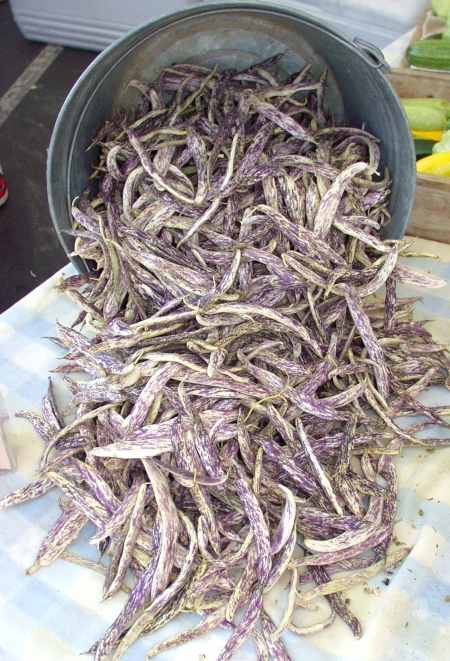 Dragon Tongue beans from Growing Things. Photo copyright 2009 by Zachary D. Lyons.