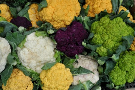 Cauliflower from Growing Things Farm. Photo copyright 2011 by Zachary D. Lyons.
