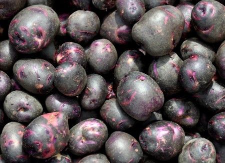 Viking purple potatoes from Olsen Farms at Ballard Farmers Market. Copyright 2014 by Zachary D. Lyons.