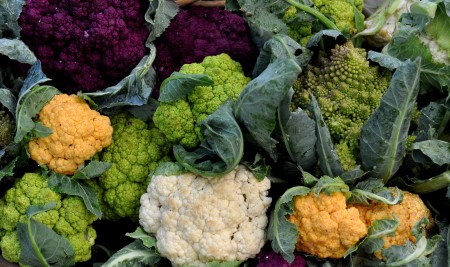 Cauliflower in every color from Growing Things Farm. Photo copyright 2011 by Zachary D. Lyons.