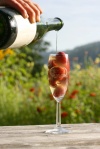 Sparkling Cider from Finnriver Farm and Cidery Copyright Zachary D Lyons