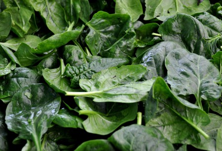 Baby spinach from Colinwood Farms at Ballard Farmers Market. Copyright Zachary D. Lyons.