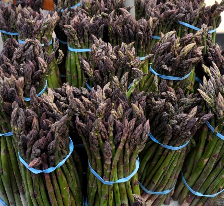 It's asparagus time again! Photo copyright 2011 by Zachary D. Lyons.