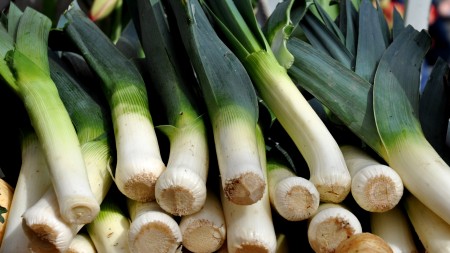 Over-wintered leeks from Nash's Organic Produce. Photo copyright 2012 by Zachary D. Lyons.