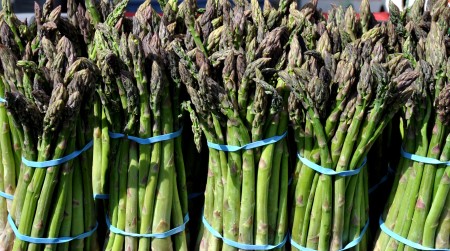 Organic asparagus from ACMA Mission Orchards. Photo copyright 2012 by Zachary D. Lyons.