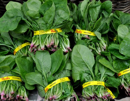 Fresh spinach from Nash's Organic Produce. Photo copyright 2012 by Zachary D. Lyons.