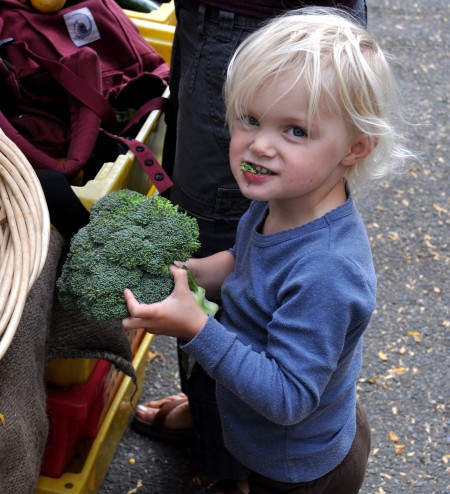 Little Marina loves her some Oxbow Farm broccoli! Photo copyright 2012 by Zachary D. Lyons.