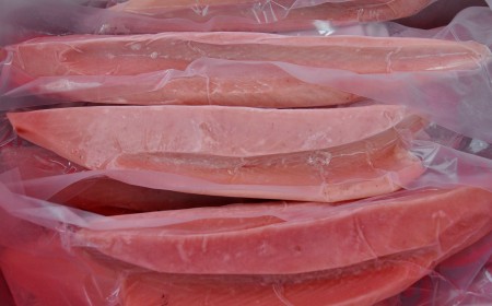Local albacore tuna loins from Fishing Vessel St. Jude at Ballard Farmers Market. Copyright Zachary D. Lyons..