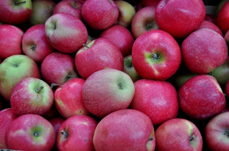 Pink Lady apples from Tiny's Organic Produce. Photo copyright 2012 by Zachary D. Lyons.