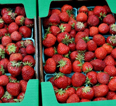 Strawberries from Jessie's Berries. Photo copyright 2013 by Zachary D. Lyons.