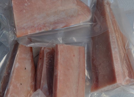 Albacore tuna loin portion from Fishing Vessel St. Jude. Photo copyright 2013 by Zachary D. Lyons.