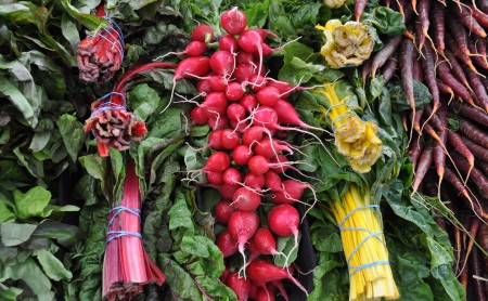 A colorful display from Boistfort Valley Farm. Photo copyright 2013 by Zachary D. Lyons.