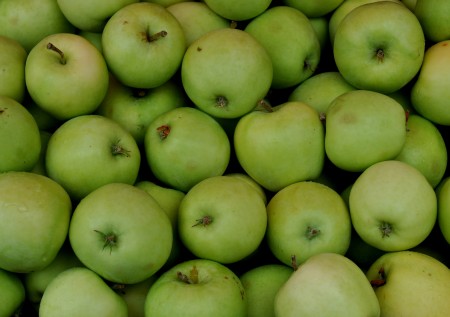 Shamrock apples from Tiny's Organic Produce. Photo copyright 2013 by Zachary D. Lyons.