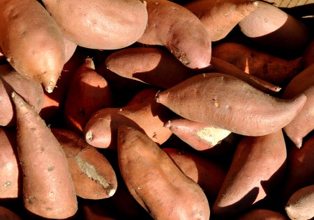 Sweet potatoes from Lyall Farms at your Ballard Farmers Market. Copyright Zachary D. Lyons.