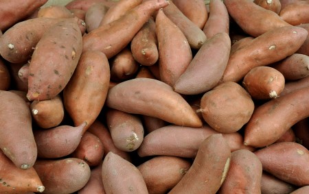 Sweet potatoes from Lyall Farms at Ballard Farmers Market. Copyright Zachary D. Lyons.