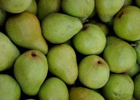 D'Anjou pears from Booth Canyon Orchards at Ballard Farmers Market. Copyright Zachary D. Lyons.