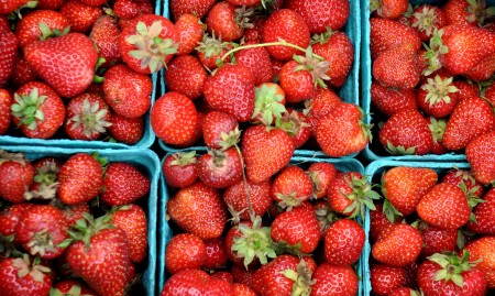 Organic strawberries from Stoney Plains Organic Farm. Photo copyright 2014 by Zachary D. Lyons.