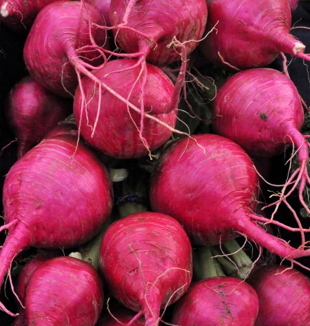 Pink turnips from Boistfort Valley Farm. Photo copyright 2014 by Zachary D. Lyons.