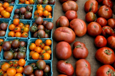 Tomatoes from One Leaf Farm. Photo copyright 2014 by Zachary D. Lyons.