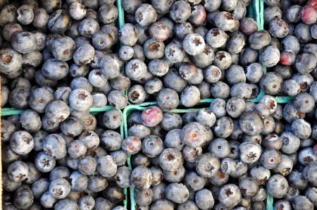 Spartans blueberries from Whitehorse Meadows Blueberry Farm. Photo copyright 2014 by Zachary D. Lyons.
