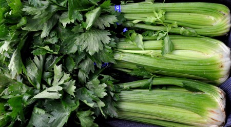 Celery from Boistfort Valley Farm at Ballard Farmers Market. Copyright Zachary D. Lyons.