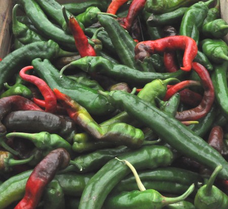 Chile peppers from Boistfort Valley Farm. Copyright Zachary D. Lyons.