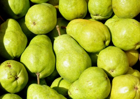 Bartlett pears from Martin Family Orchards at Ballard Farmers Market. Copyright Zachary D. Lyons.