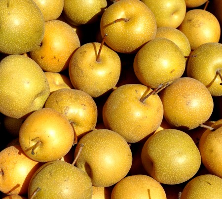 Asian pears from Tiny's Organic at Ballard Farmers Market. Copyright 2014 by Zachary D. Lyons.