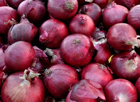 Red storage onions from Colinwood Farm at your Ballard Farmers Market. Copyright Zachary D. Lyons.