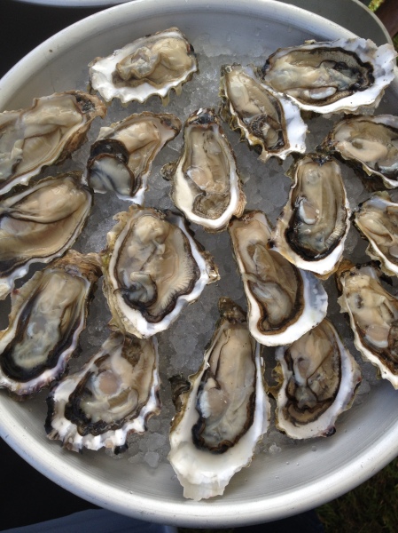Freshly shucked oysters on the half shell from Hama Hama Oysters at Ballard Farmers Market. Copyright Lauren McCool.