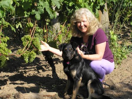 Maggie and pup Lola inspecting the Madeleine Angevine grapes at LIV (Lopez Island Vineyards). Photo courtesy LIV.