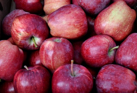 Red Delicious apples from Martin Family Orchards at Ballard Farmers Market. Copyright Zachary D. Lyons.