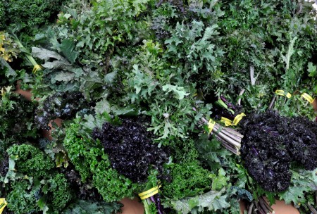 Mixed kale from Alm Hill Gardens at Ballard Farmers Market. Copyright Zachary D. Lyons.