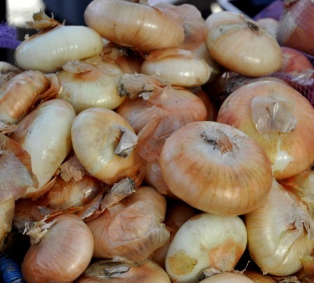 Cipollini onions from Colinwood Farm at Ballard Farmers Market. Copyright Zachary D. Lyons.