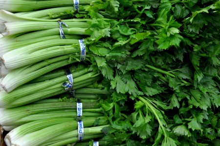 Celery from Stoney Plains Organic Farm at Ballard Farmers Market. Copyright Zachary D. Lyons.
