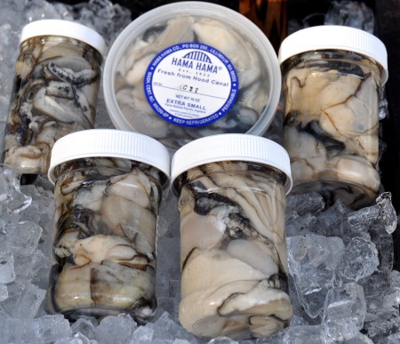 Shucked oysters from Hama Hama Oysters at Ballard Farmers Market. Copyright Zachary D. Lyons.